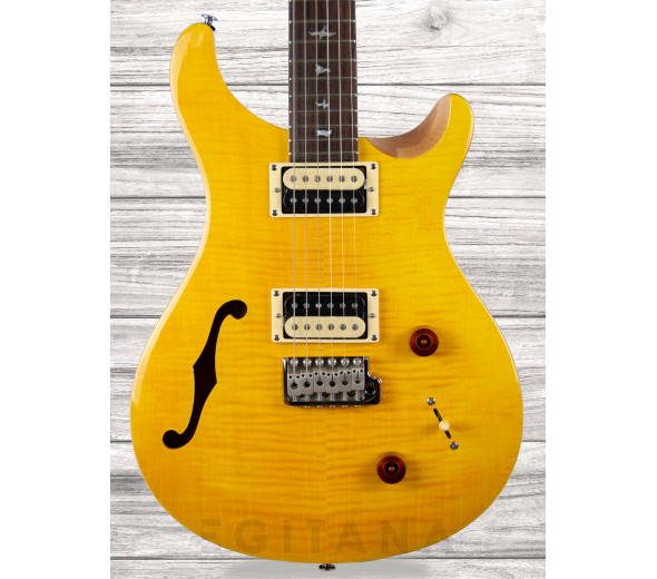 prs-se-custom-22-semi-hollow-sy_609a6ff1d08d5.jpg