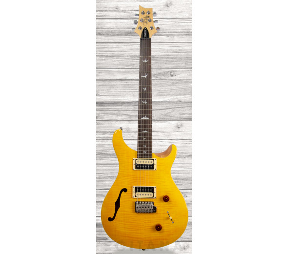 prs-se-custom-22-semi-hollow-sy_609a6ff2c78ab.jpg