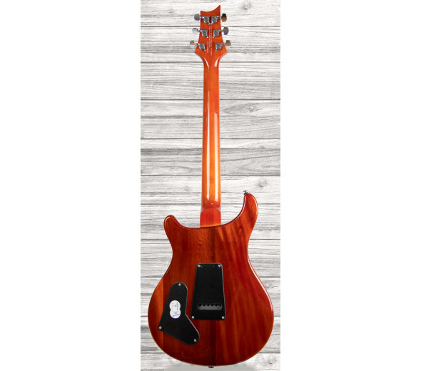 prs-se-custom-22-vs_609d08a814a2f.jpg