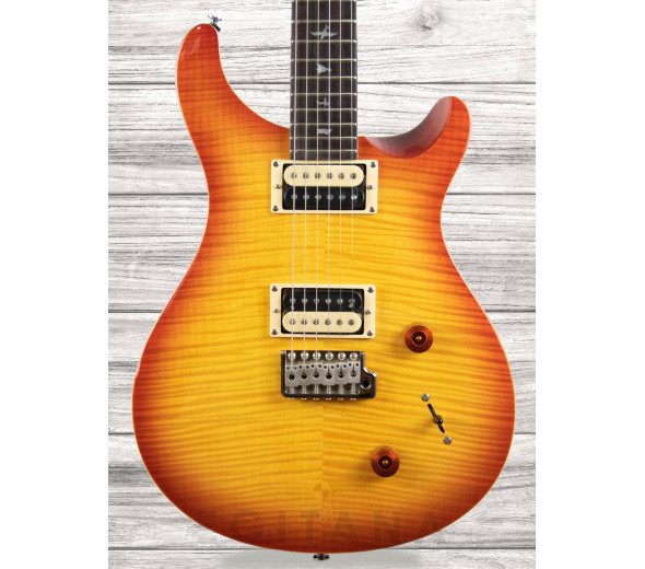 prs-se-custom-22-vs_609d08aaa9a93.jpg