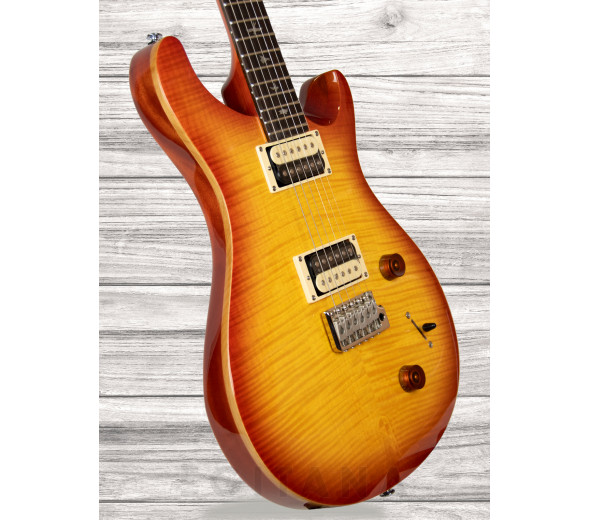 prs-se-custom-22-vs_609d08abe3644.jpg