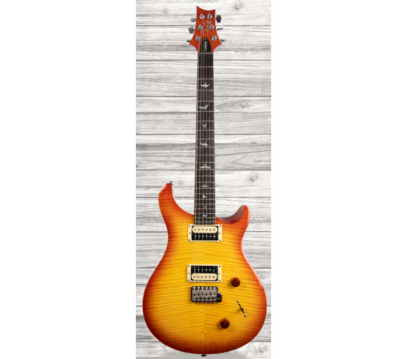 prs-se-custom-22-vs_609d08ad0f0a6.jpg