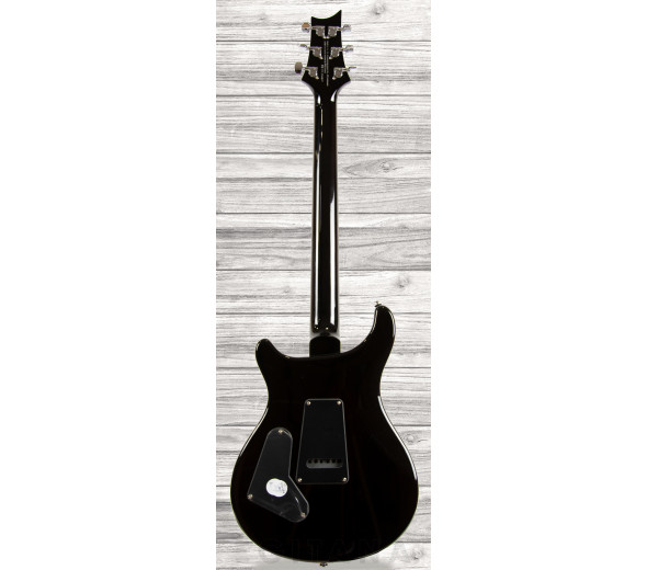 prs-se-custom-24-bg_6089282cdeaf9.jpg