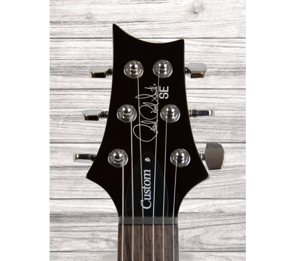 prs-se-custom-24-bg_6089282dd0965.jpg