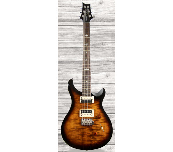 prs-se-custom-24-bg_6089282fc3bb9.jpg