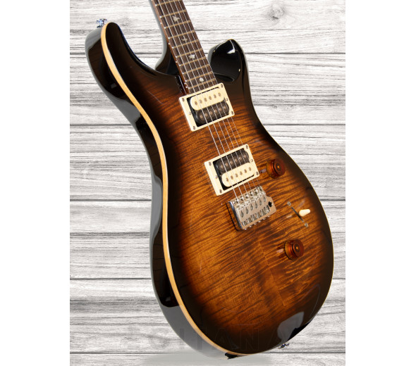 prs-se-custom-24-bg_60892830c9bcb.jpg