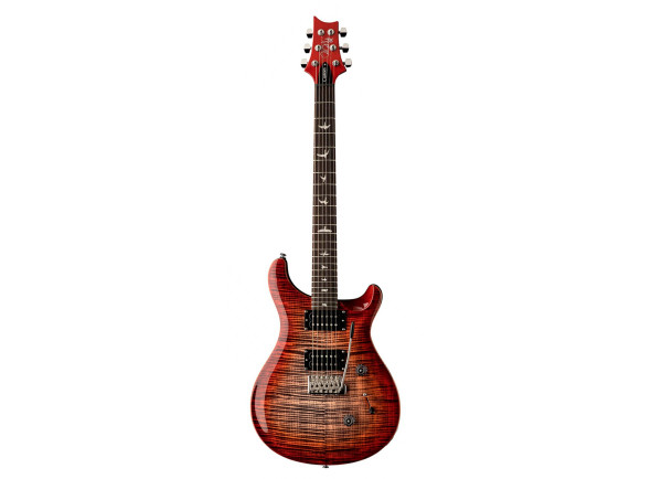 prs-se-custom-24-charcoal-cherry-burst_6790c6101fca1.jpg