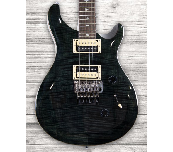 prs-se-custom-24-floyd-gray-black_5fb688a79fe61.jpg