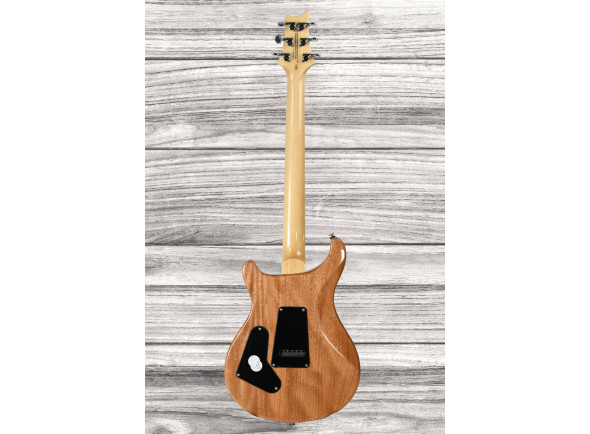 prs-se-custom-24-quilt-tu_65df0c774abc9.jpg