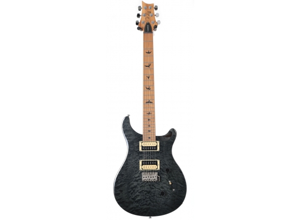 prs-se-custom-24-roasted-maple-ltd-gn-grey-black_5d2737eb583d0.jpg