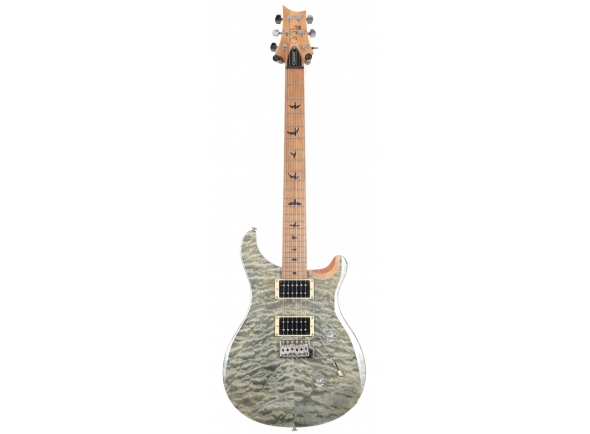 prs-se-custom-24-roasted-maple-ltd-trampas-green_5d27375b5340f.jpg