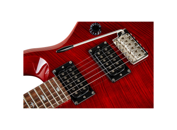 prs-se-custom-24-ruby-ltd_668fdcb381534.jpg