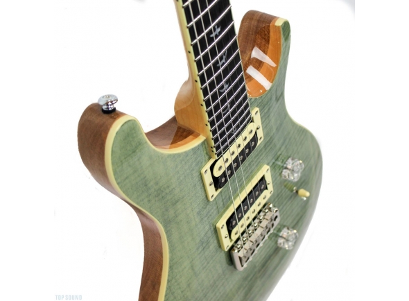 prs-se-custom-24-tg-2018_5c61a04234a16.jpg