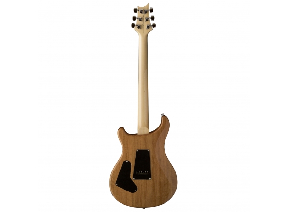 prs-se-custom-24-ts-2018_5c61a0d1b2192.jpg