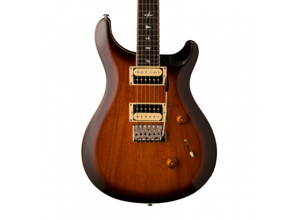 prs-se-custom-24-ts-2018_5c61be1dc2e52.jpg