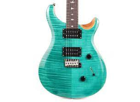 prs-se-custom-24-tu_656eef5e77d31.jpg