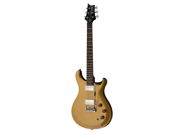 prs-se-dgt-gold-top_646f88f0069a2.jpg