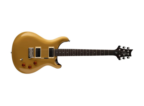 prs-se-dgt-gold-top_646f88f08e7e6.jpg