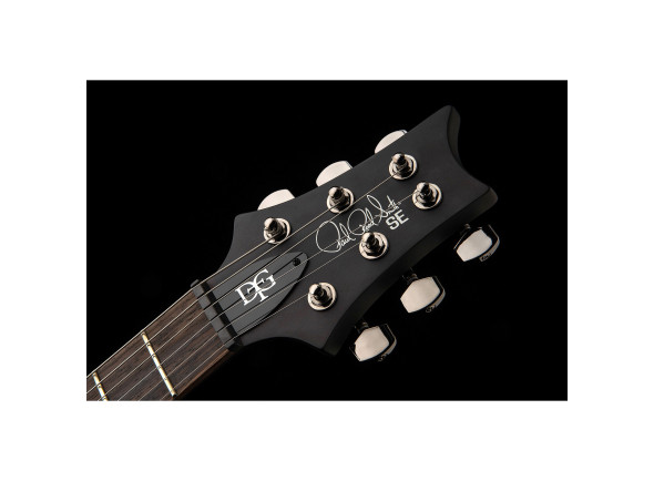 prs-se-dgt-mt-exotic-ltd_67f8f1811e659.jpg