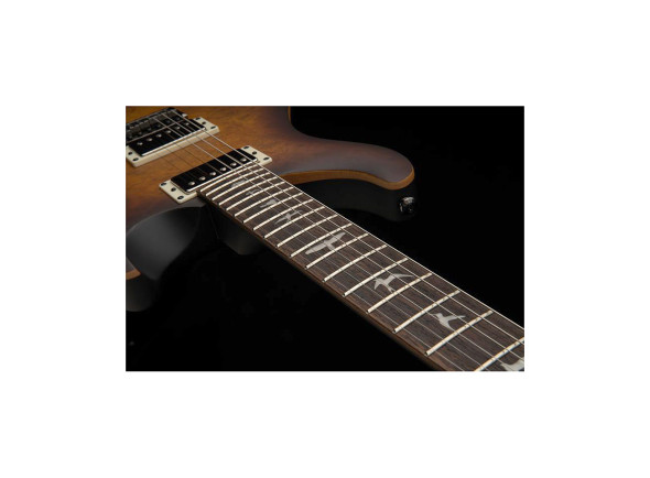 prs-se-dgt-mt-exotic-ltd_67f8f18b789ce.jpg
