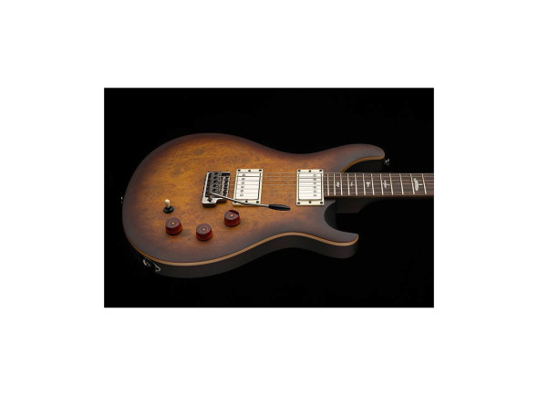 prs-se-dgt-mt-exotic-ltd_67f8f18d51459.jpg