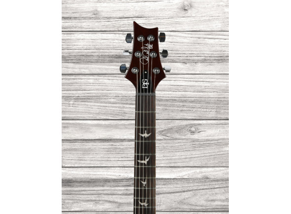 prs-se-dgt-tobacco-sunburst_64ba3d0e9f4a5.jpg