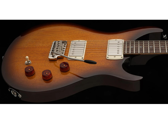 prs-se-dgt-tobacco-sunburst_69cb94d396aa0.jpg