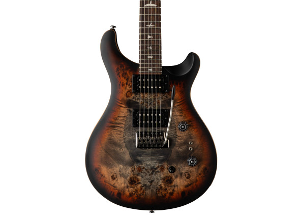 prs-se-exotic-custom-24-08-poplar-burl-ltd-charcoal-cherry-midnight-burst_68062d98138cb.jpg