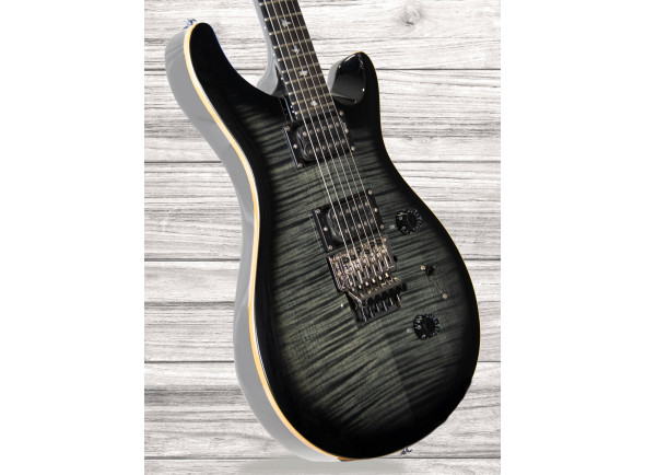 prs-se-floyd-custom-24-charcoal-burst_60ad14d4917eb.jpg