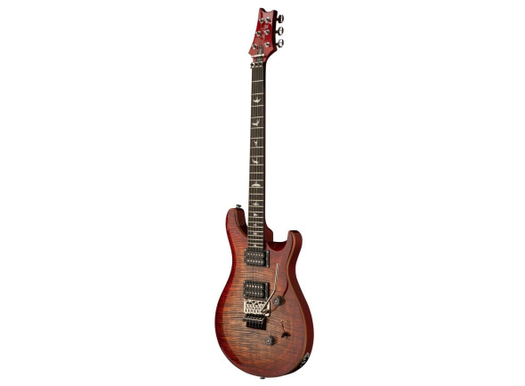 prs-se-floyd-custom-24-charcoal-cherry-burst_6839ce4e78025.jpg