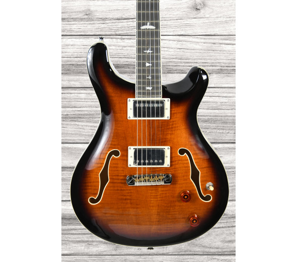 prs-se-hollowbody-ii-bg_6380e49727d8d.jpg