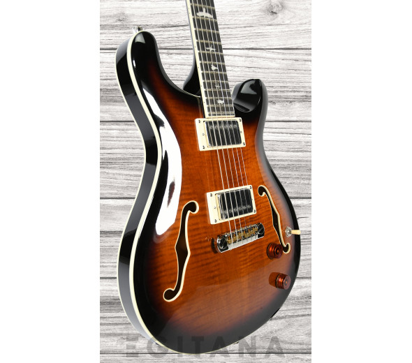 prs-se-hollowbody-ii-bg_6380e49809df4.jpg