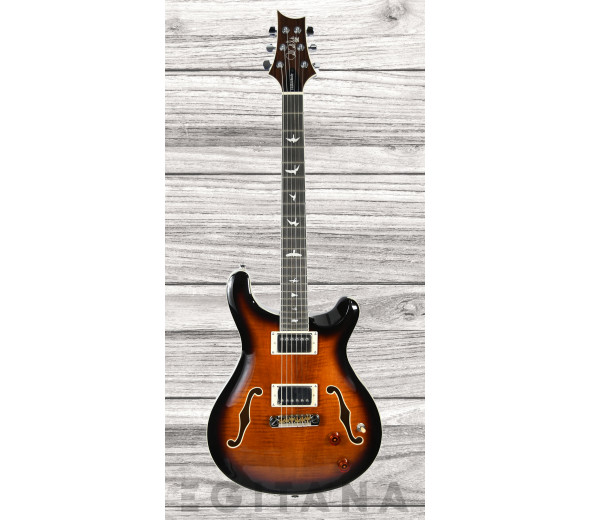 prs-se-hollowbody-ii-bg_6380e498ba2c1.jpg