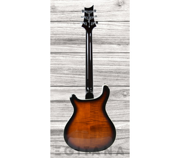 prs-se-hollowbody-ii-bg_6380e49aef74c.jpg