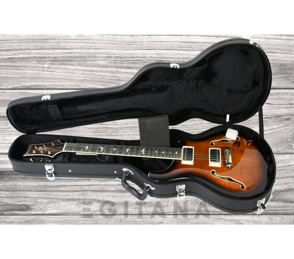 prs-se-hollowbody-ii-bg_6380e49b9555f.jpg