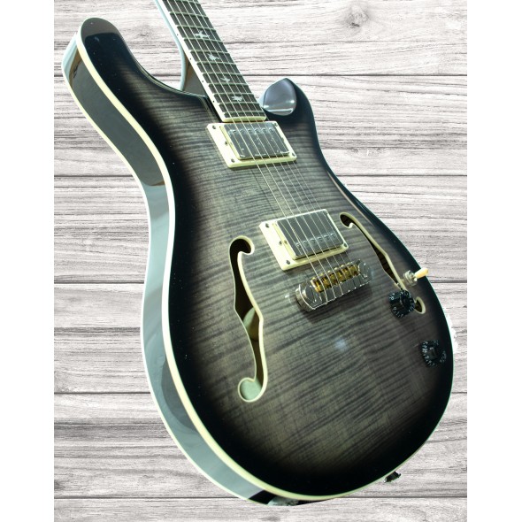 prs-se-hollowbody-ii-ca_5ee3a7efc6432.jpg