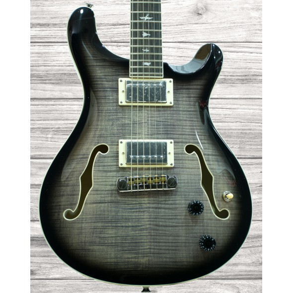 prs-se-hollowbody-ii-ca_5ee3a7f3bbbe9.jpg