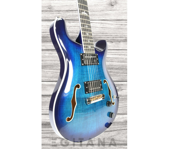 prs-se-hollowbody-ii-faded-blue-burst_63984b0a1a687.jpg