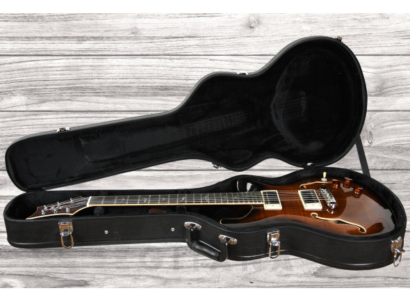 prs-se-hollowbody-ii-piezo-bg_60ccd3dced14b.jpg