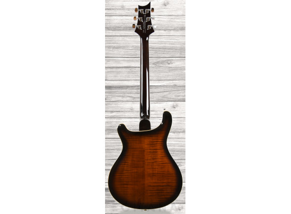 prs-se-hollowbody-ii-piezo-bg_60ccd3df7f6c1.jpg