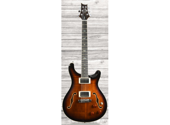 prs-se-hollowbody-ii-piezo-bg_60ccd3e06c62a.jpg