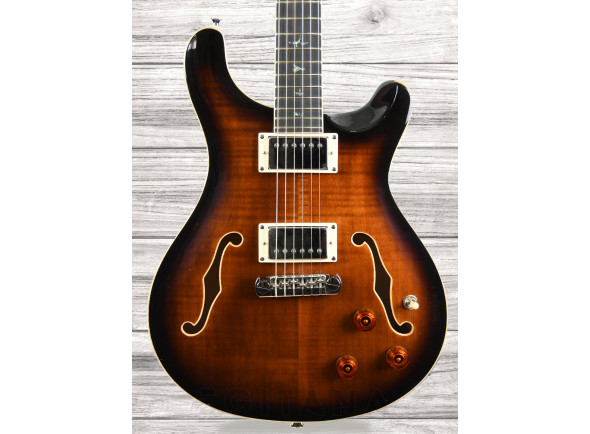 prs-se-hollowbody-ii-piezo-bg_60ccd3e15e54e.jpg