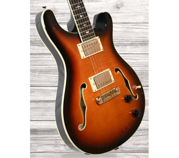 prs-se-hollowbody-ii-tri-color-sunburst_60f0679950d14.jpg