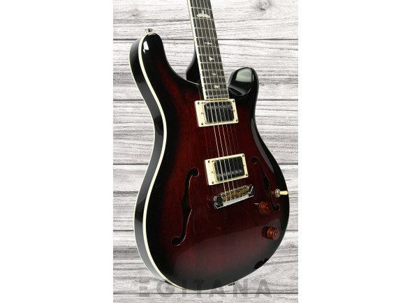 prs-se-hollowbody-standard-in-fire-red_6356666871d32.jpg