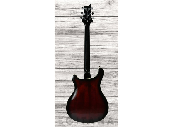 prs-se-hollowbody-standard-in-fire-red_6356666c9f4c6.jpg