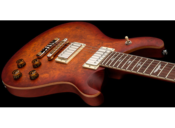 prs-se-mccarty-594-laurel-burl-ltd_67f8f0063fdf2.jpg