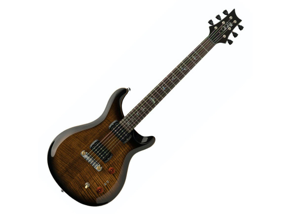 prs-se-pauls-guitar-bg_623dcd7a736c5.jpg