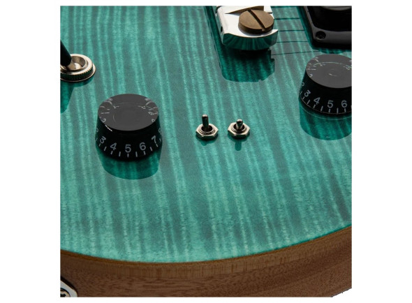 prs-se-pauls-guitar-turquoise_67eaccde09c29.jpg