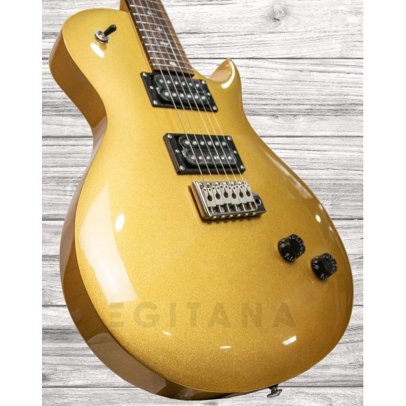 prs-se-santana-singlecut-trem-egyptian-gold_5f5a563d87c33.jpg