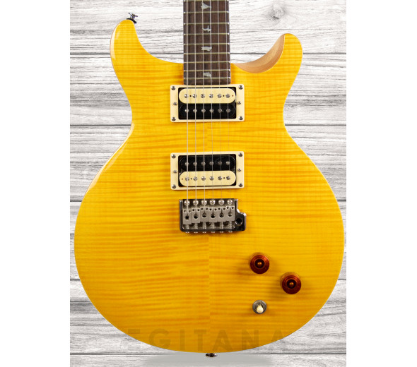 prs-se-santana-sy_60892ea919b43.jpg